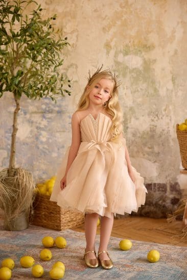 Girls Party Dresses, Flower Girl Dresses, Holy Communion Dresses, Girls Occasion Dresses, Girls Dresses For Weddings,Luxury Girls Dresses at Quinn Harper.50